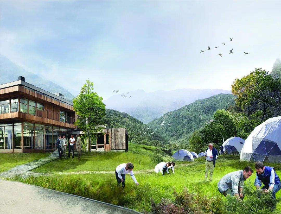 四川卧龙大熊猫自然保护区总体规划 | 让大熊猫回家的设计之路-91
