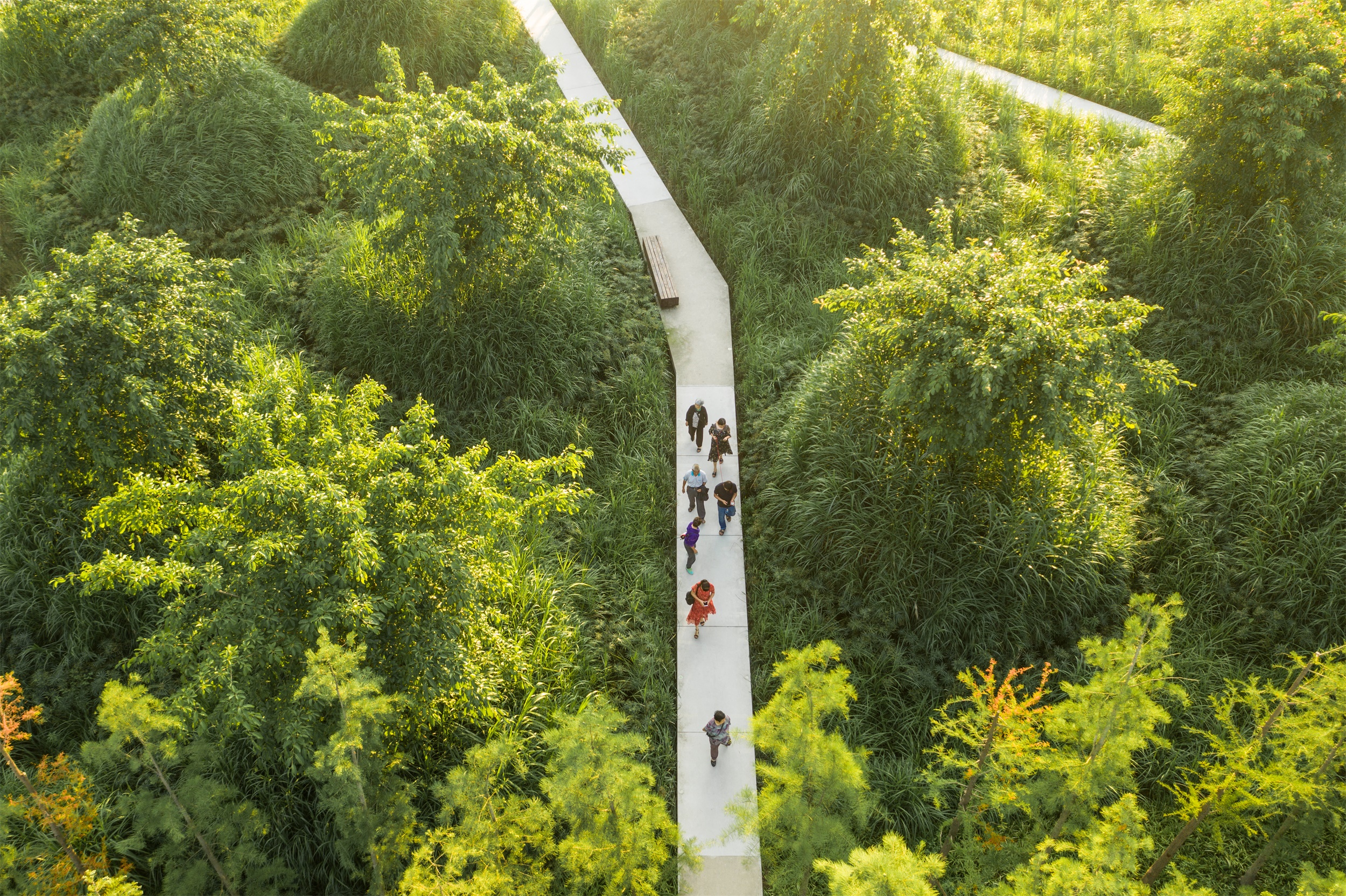 西安雁南公园（二期）丨中国西安丨土人设计（Turenscape）-157