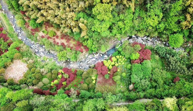 栖霞山居民宿酒店 | 融入自然的“五感六觉”设计-4