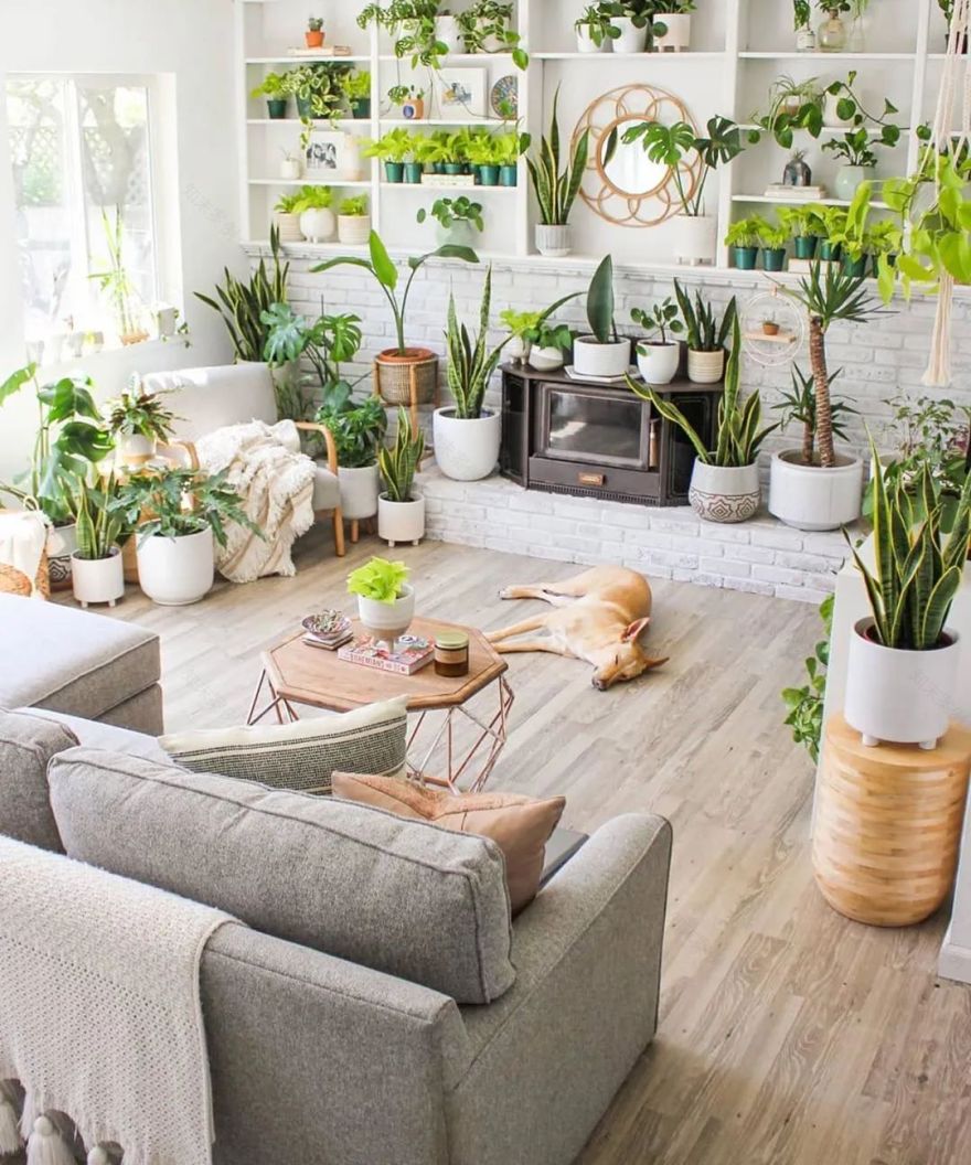 绿植搭配家居,打造夏日清凉空间-31
