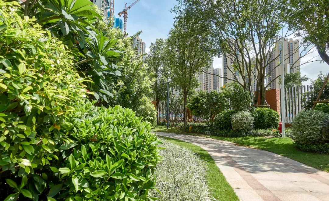 珠海容闳学校 | 生态文化书院的绿色教育空间-48