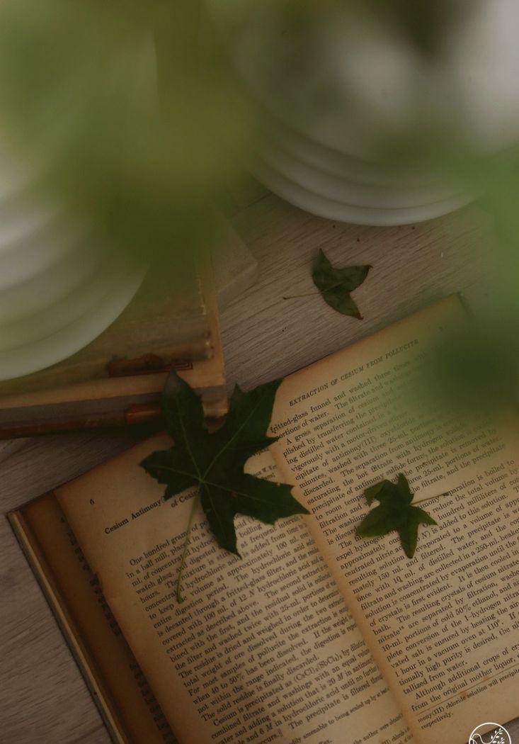 清羽设计丨平层丨暖fufu的甩手度假房-37