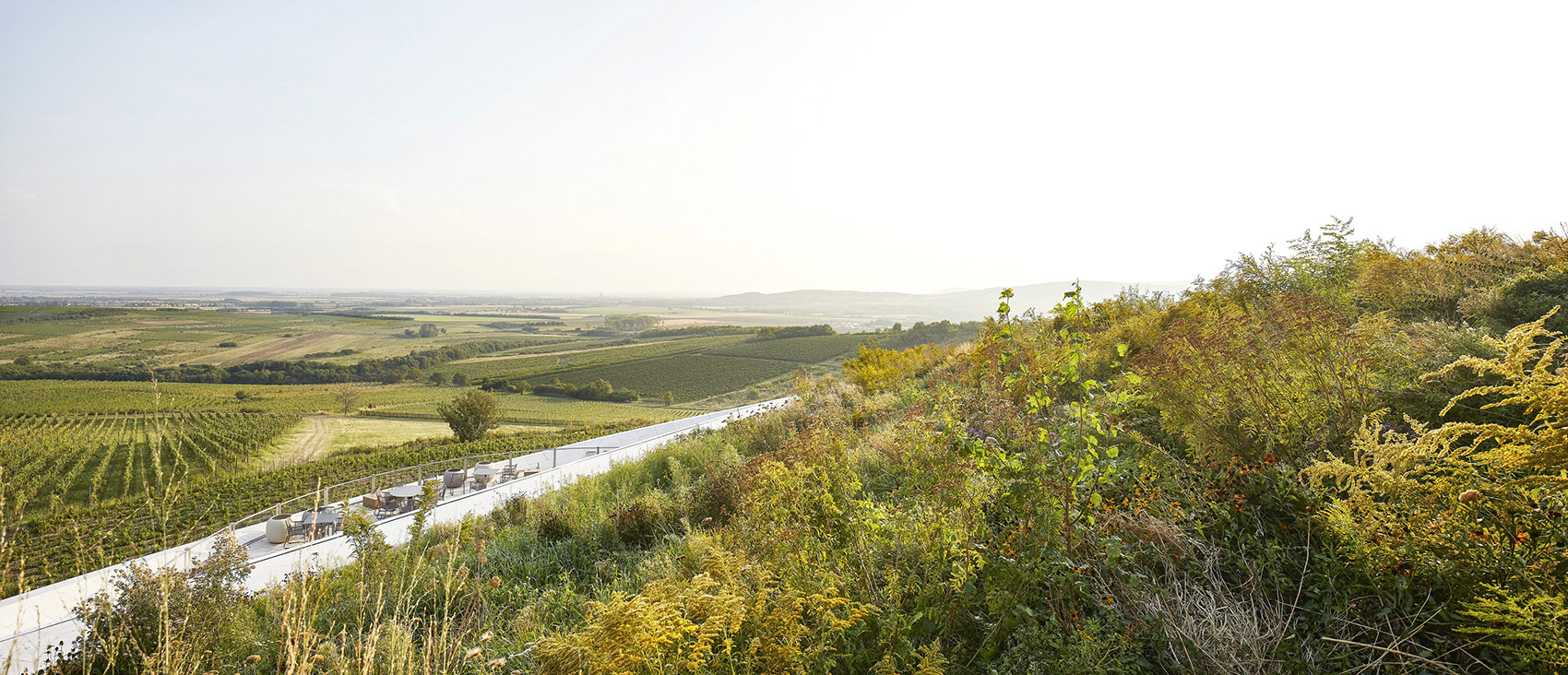 Sauska Tokaj酿酒厂，匈牙利 / BORD Architectural Studio-29