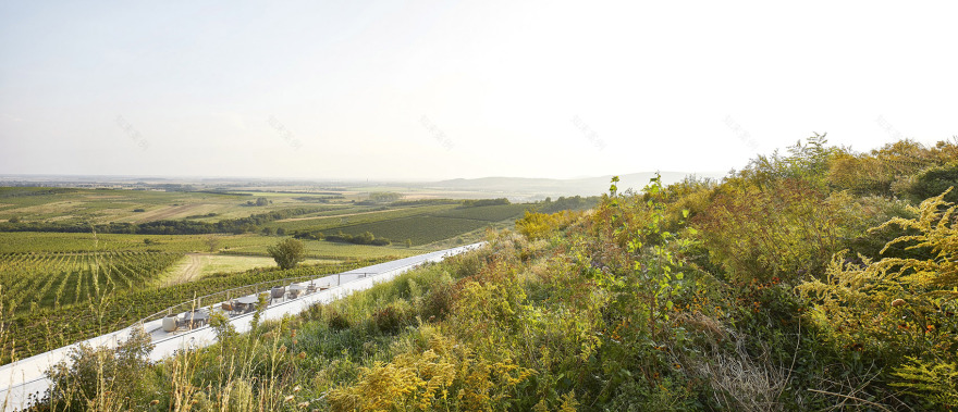 Sauska Tokaj酿酒厂,匈牙利 / BORD Architectural Studio-29