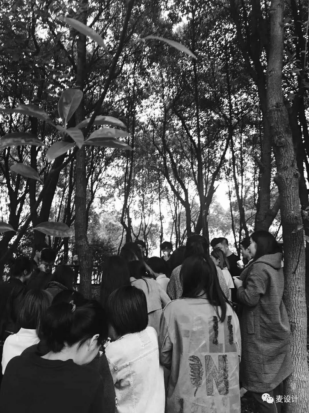 陈列设计发布会-38