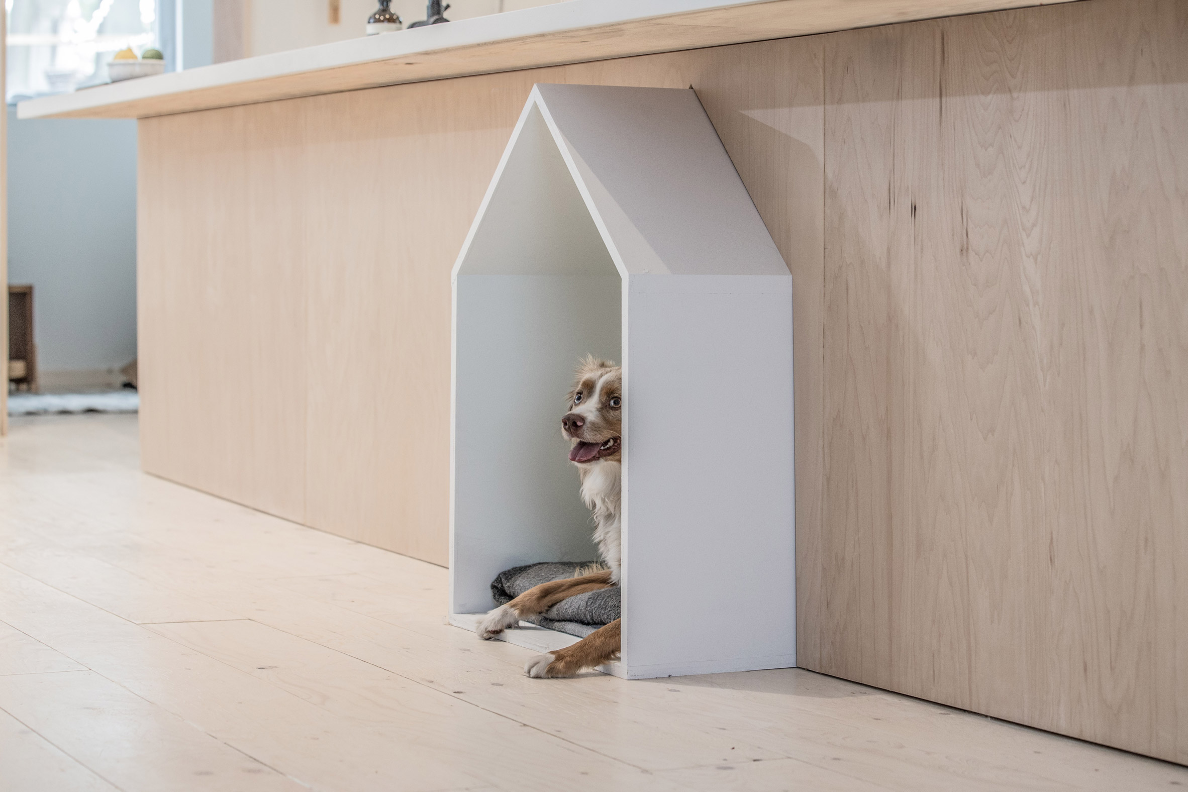 StudioAC inserts plywood unit complete with dog bed into Toronto home-18