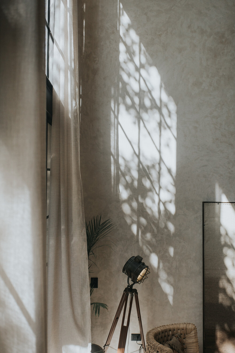 Fosil Tulum 住宅综合体丨墨西哥丨Terreo 工作室-3