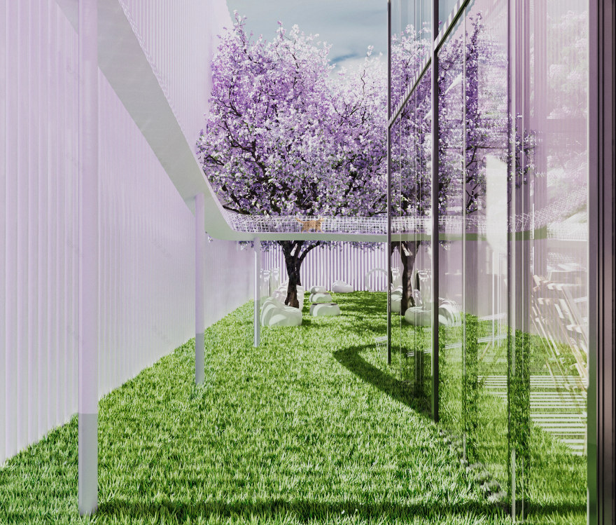 Echoes of the Heart: Healing Center P2-61