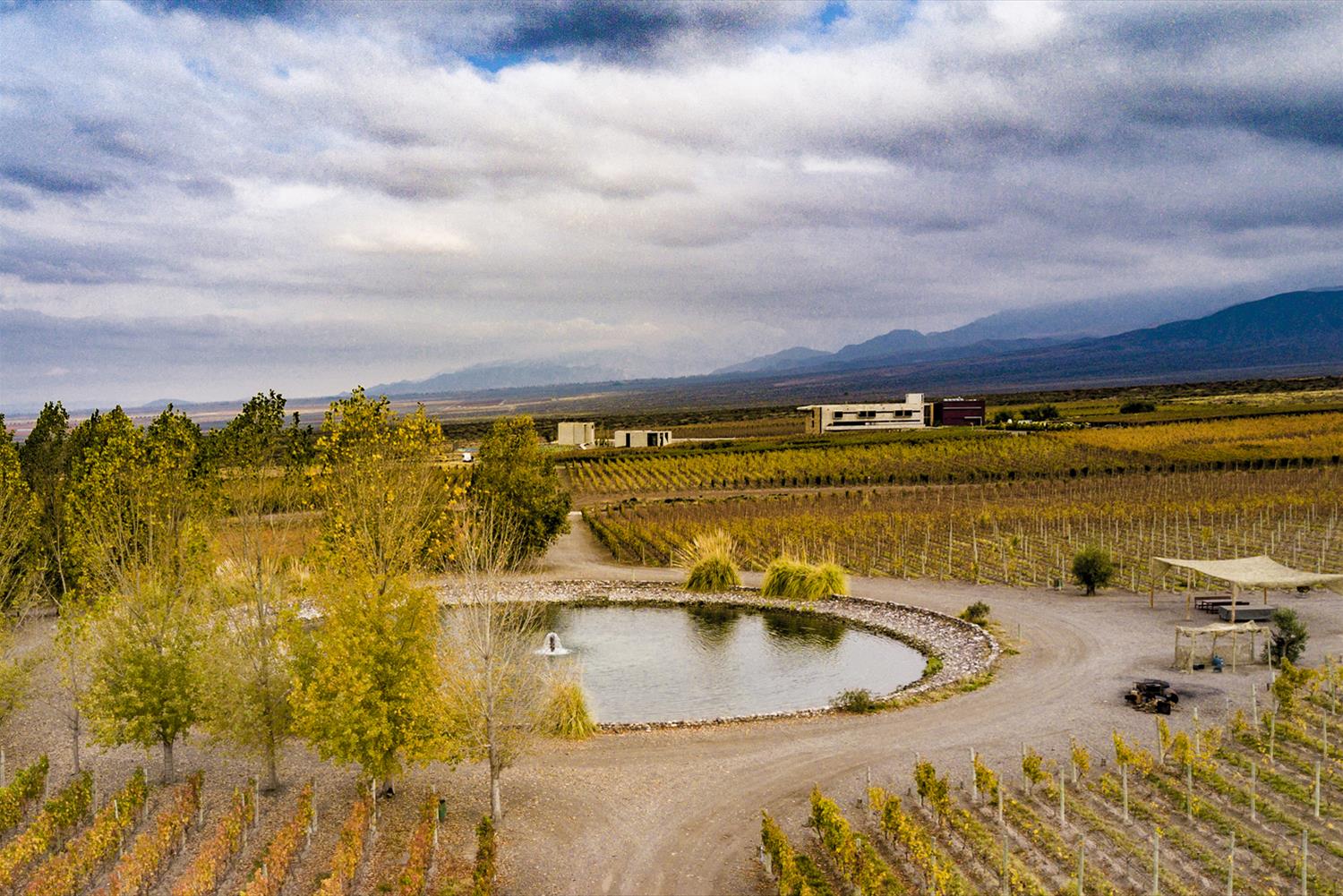 阿根廷 Casa de Uco Vineyard & Wine Resort 酒庄酒店-3