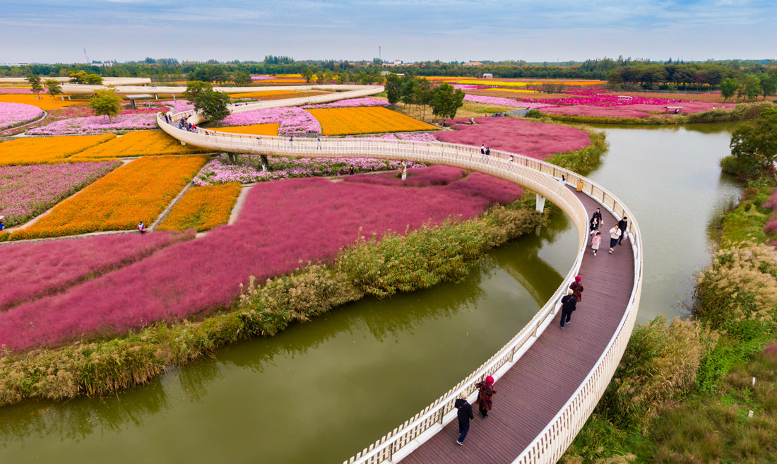 宿迁三台山花田织锦丨中国宿迁丨土人设计（Turenscape）-21