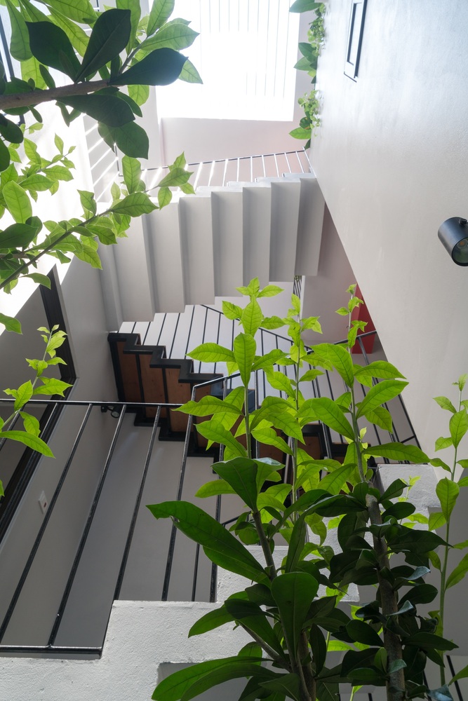 绿意盎然的光之屋-77