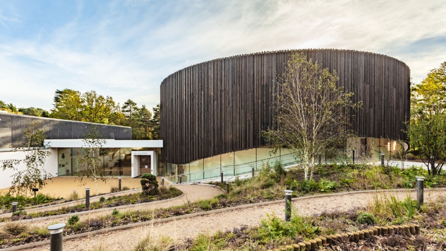 森林中的圆形艺术馆-38