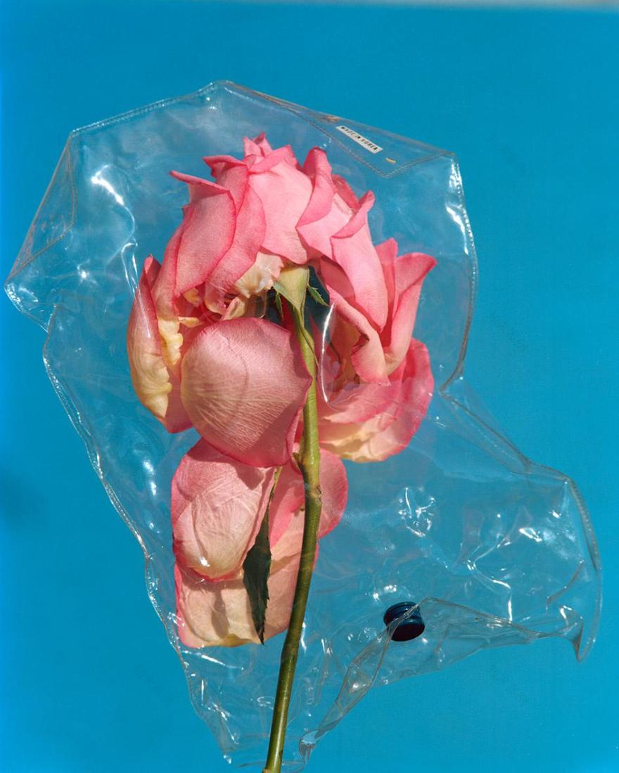 塑料覆花 | 环境危机的沉痛隐喻-29