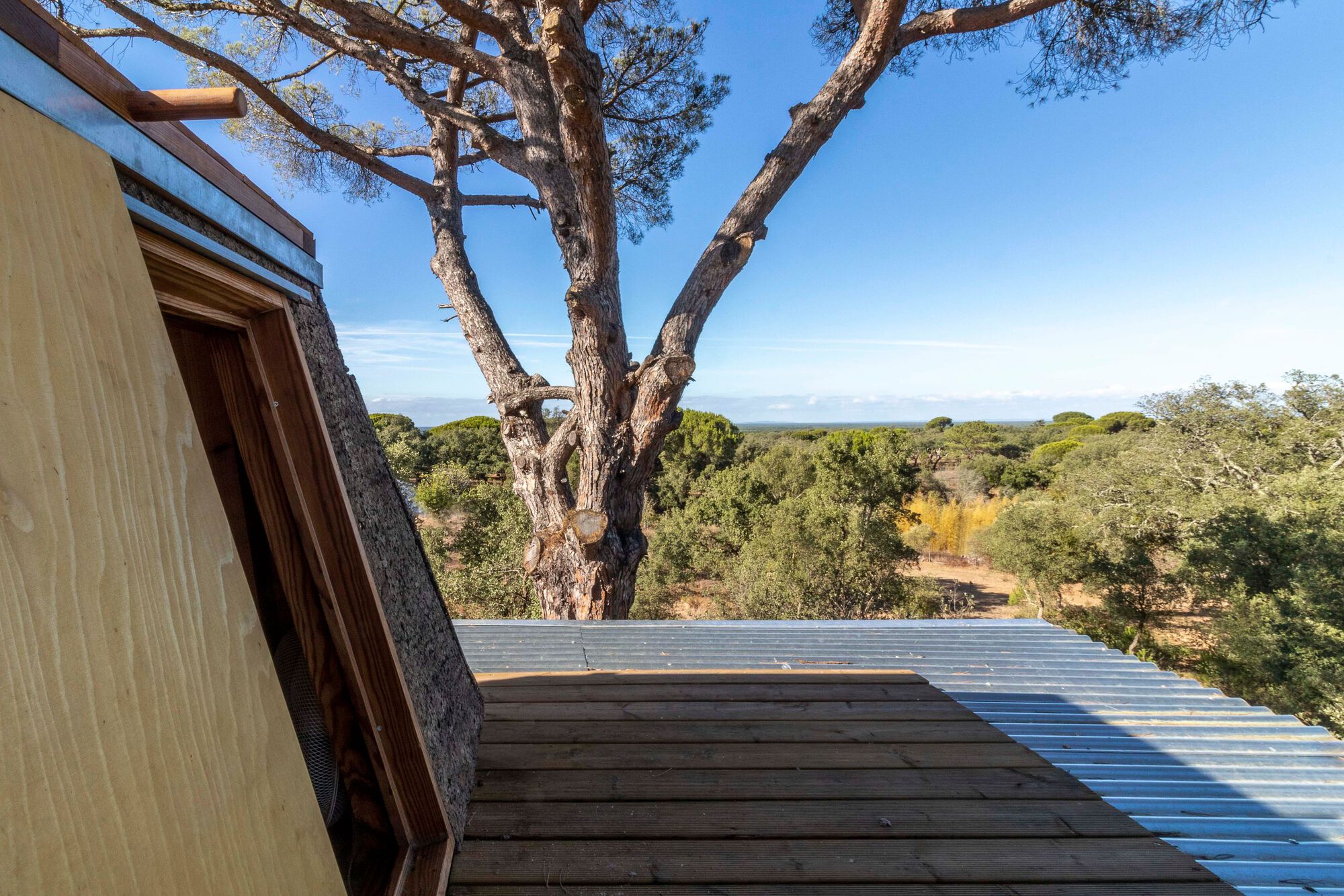 鸽子树屋丨葡萄牙丨Madeiguincho-29