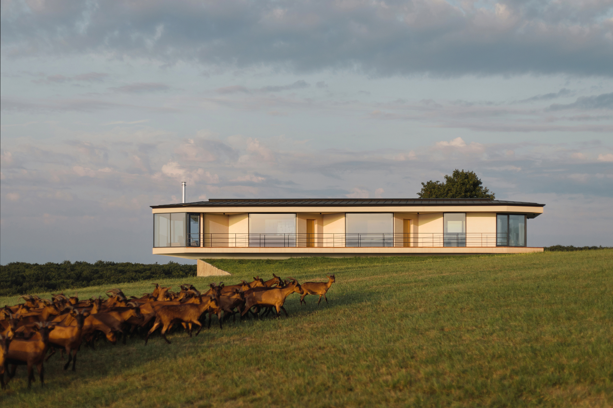 大麻屋丨Bach Mühle Fuchs,Ljubica Arsić-17