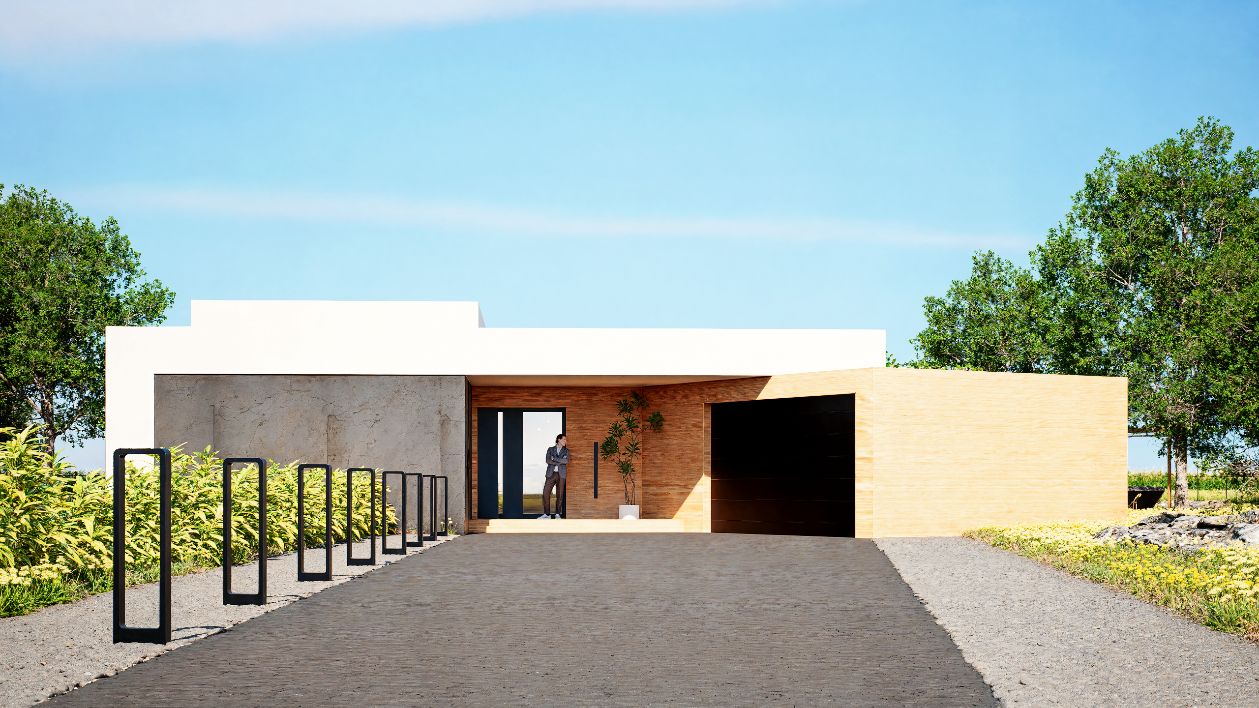 Modern villa render - modern single family house-3