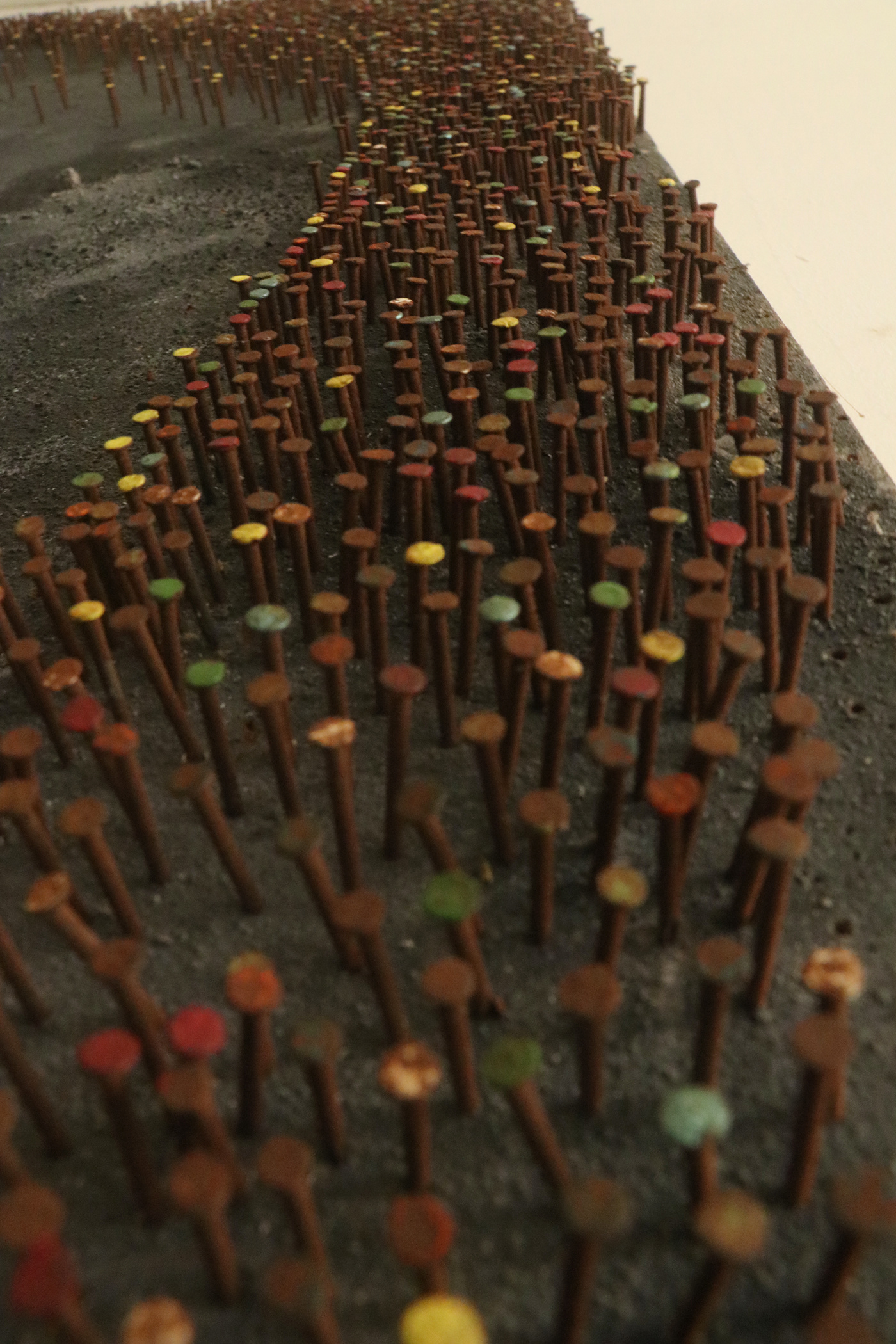 自然韵律 · 探索图案之美-10