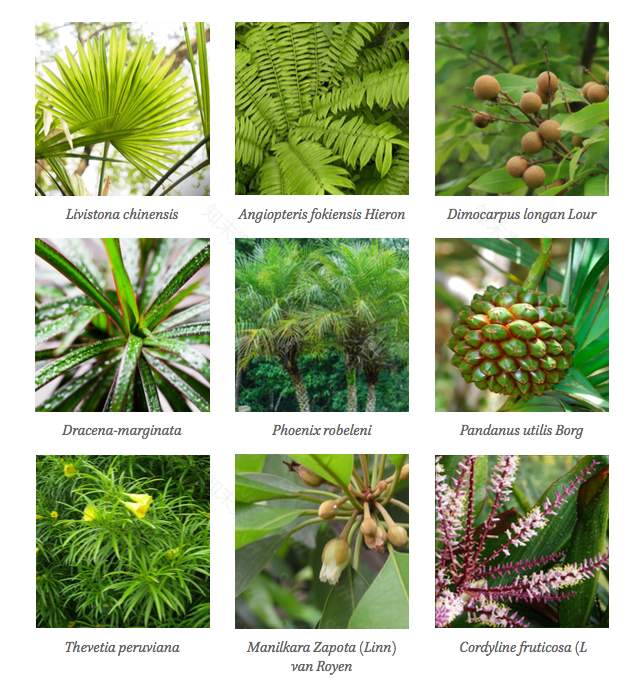 Shenzhen Flower Show - Xanthe White Design-13