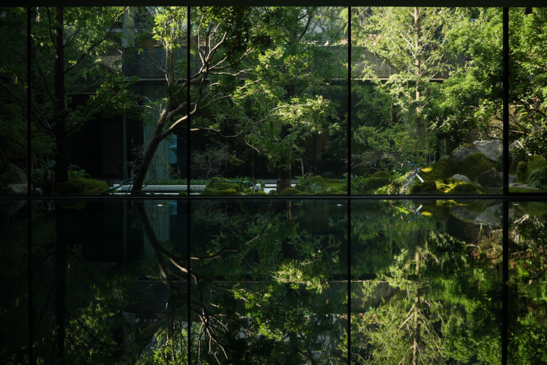 山风徐来——极野京韵的东方疗愈居所|金茂北京璞逸丰宜-73