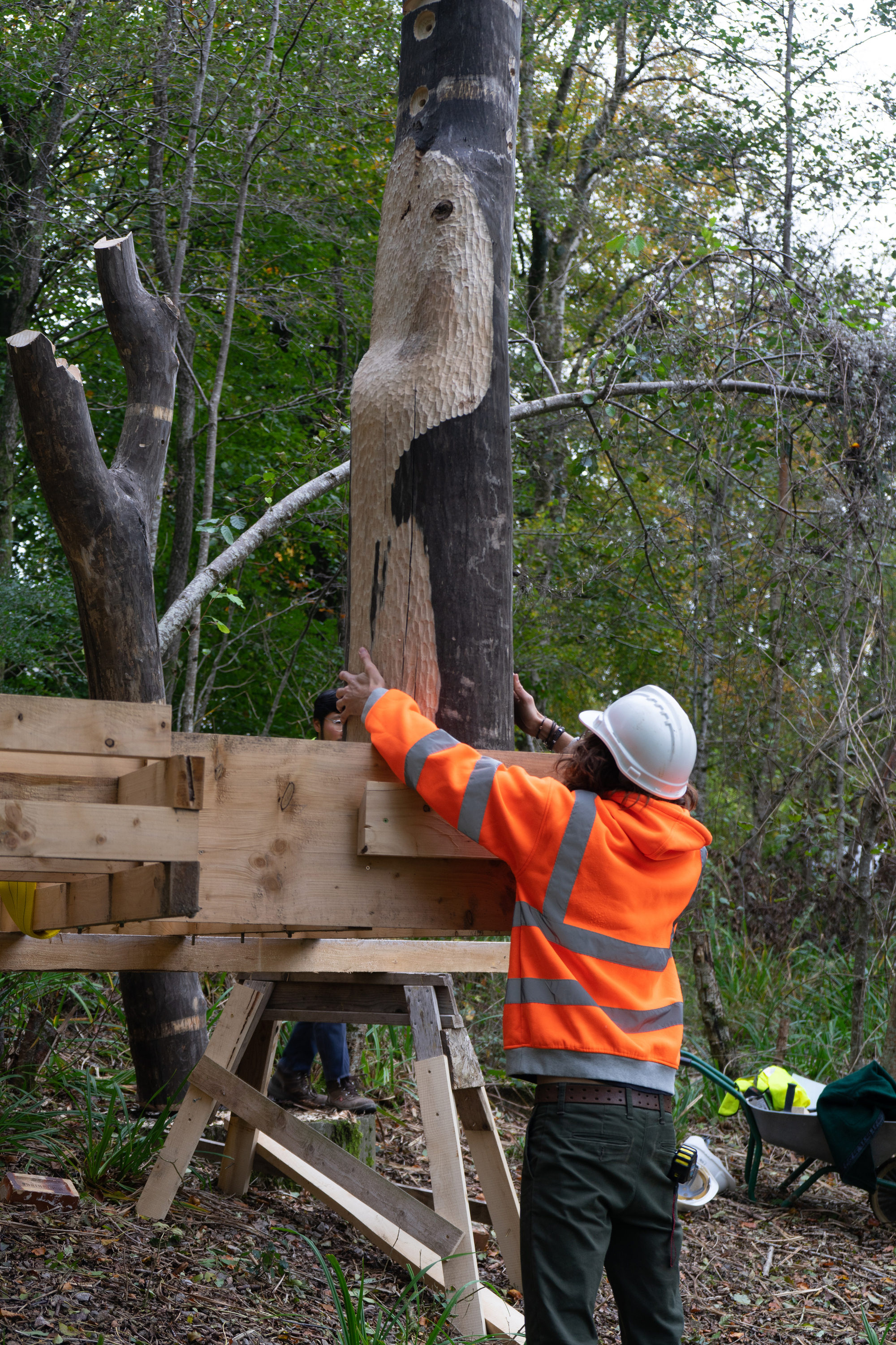 林地小屋丨英国丨AA Design and Make-40