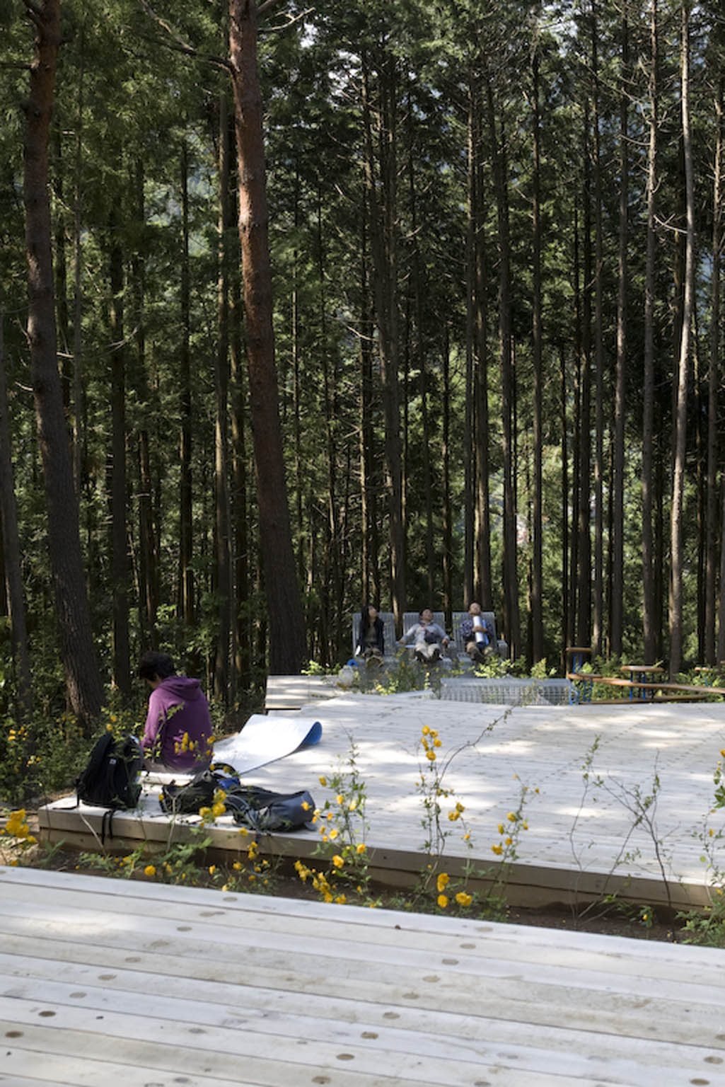 奥多摩森林疗法之路丨日本东京-25