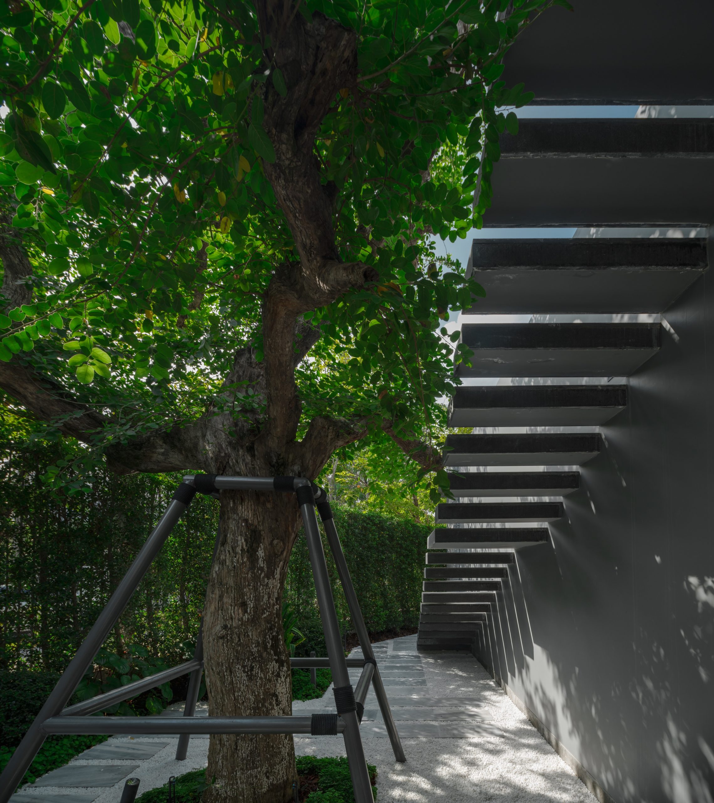 曼谷 PK 住宅庭园丨泰国曼谷丨Landscape Tectonix Limited-65