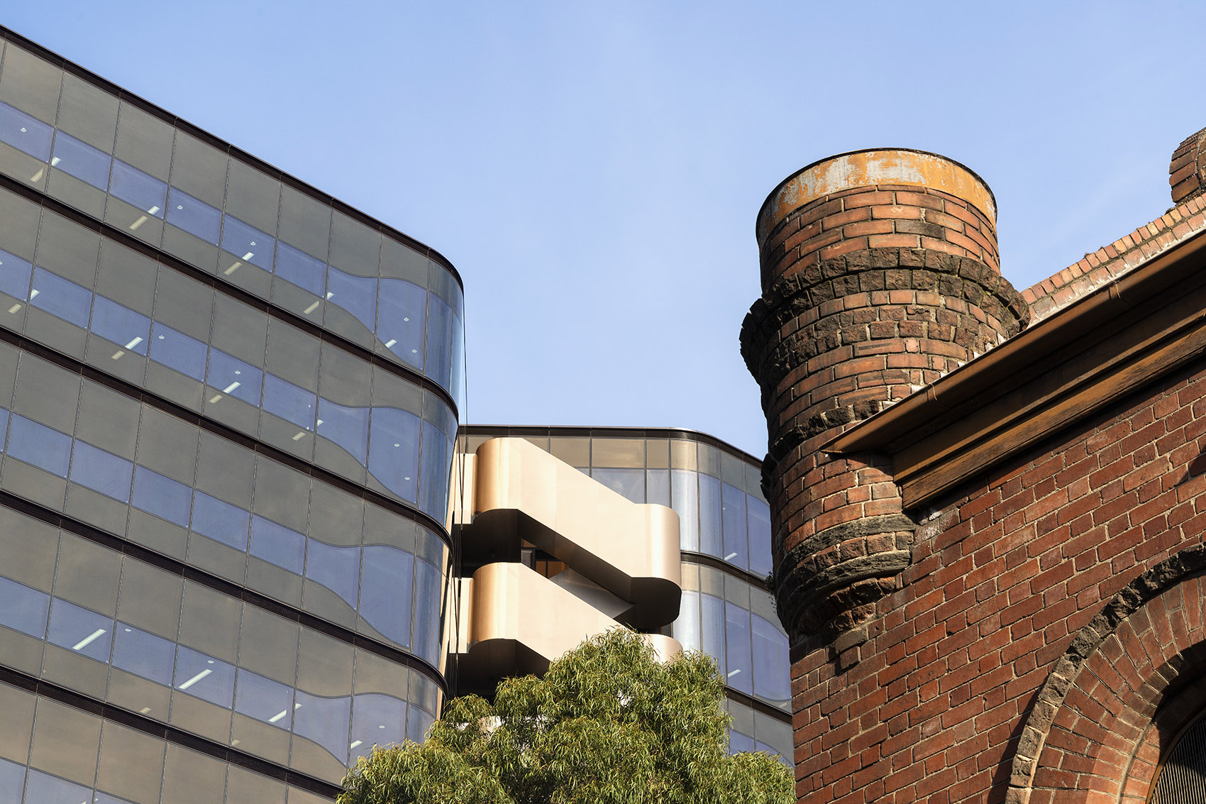 澳大利亚维多利亚大道 200 号大楼丨澳大利亚墨尔本丨Bower Bird-28