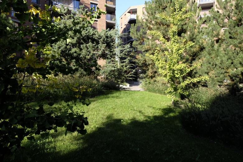 弗赖拉乌姆 艾格比尔丨瑞士-17