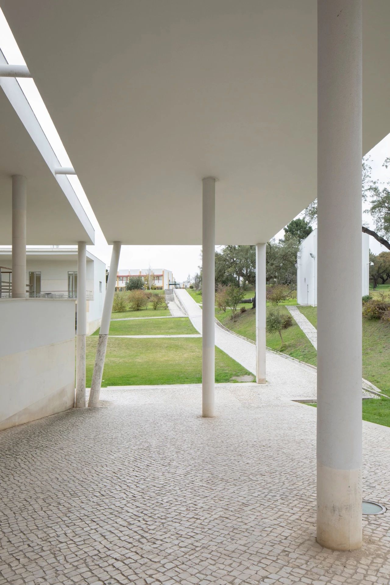 Álvaro Siza 葡萄牙  Architecture-142