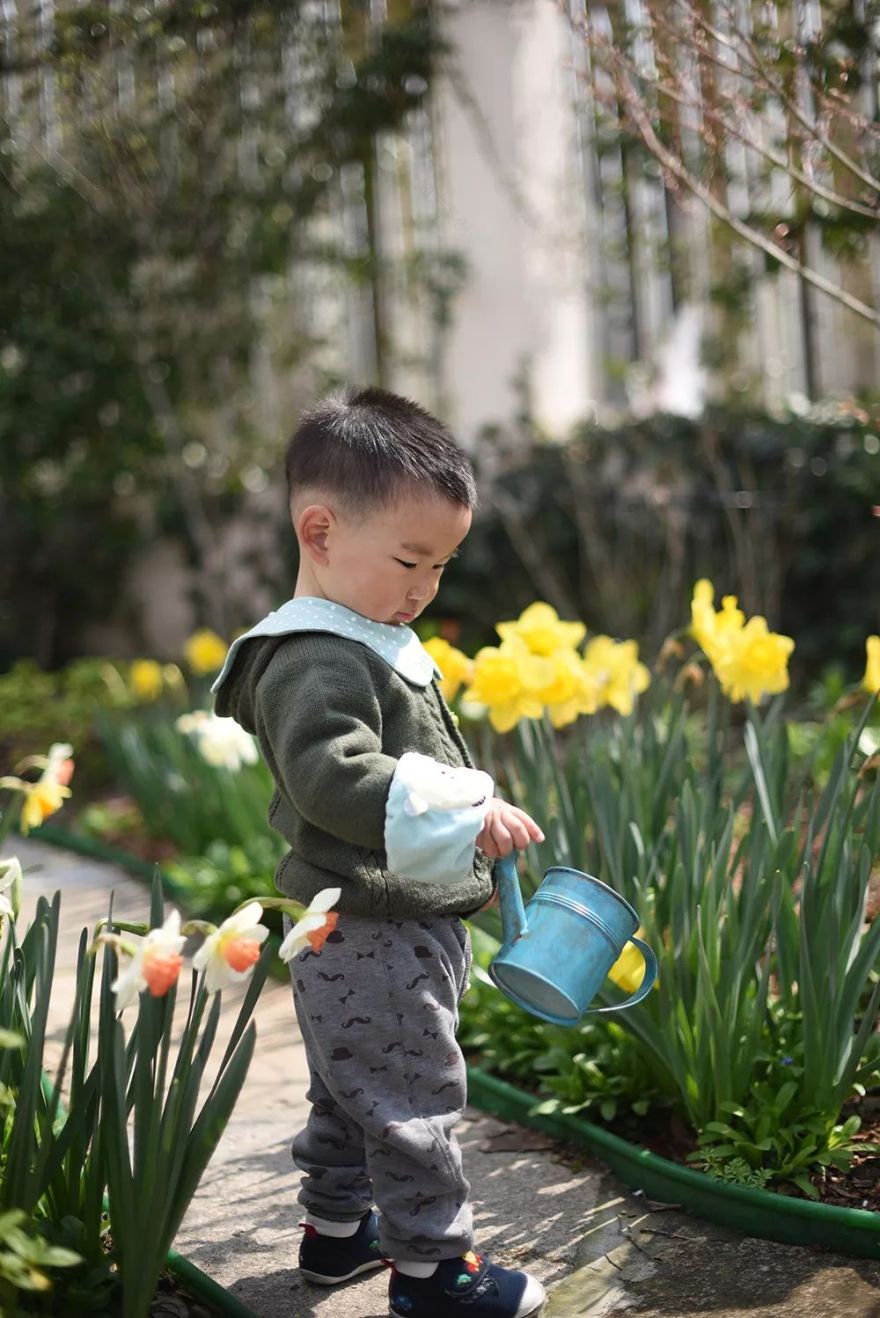 78岁爷爷改造荒废院子,为孙女建起一座花园-132