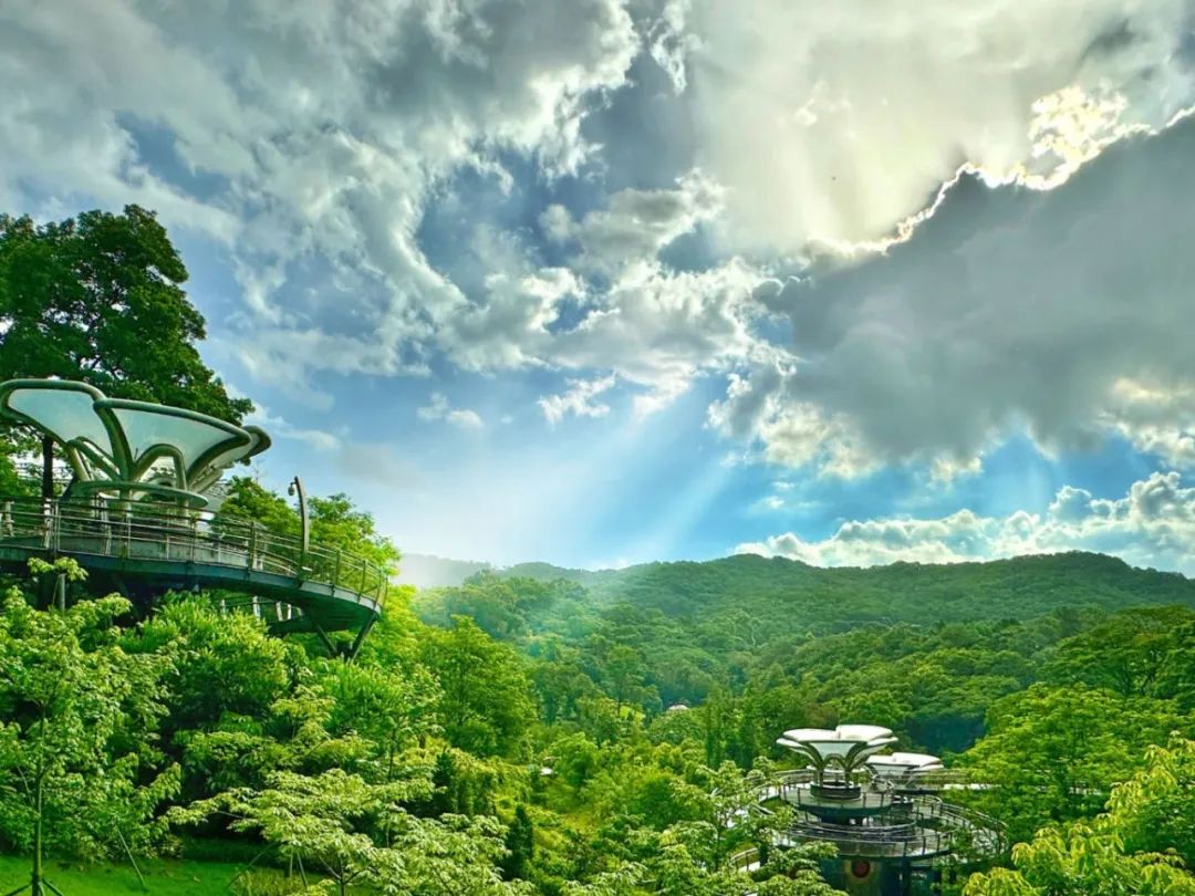 广州云萝植物园丨中国广州丨广州普邦园林股份有限公司-2