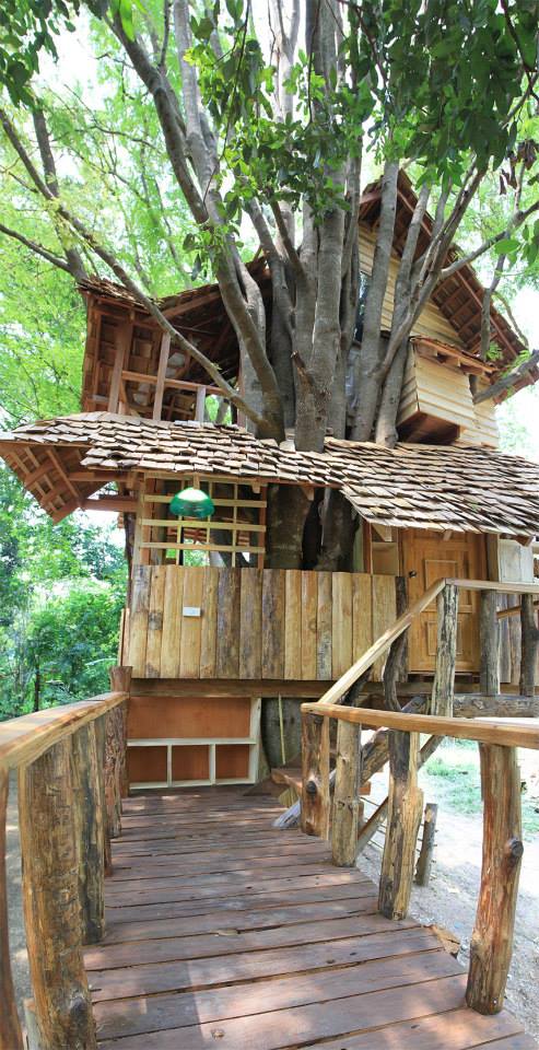 两层树屋（Treehouse）-18