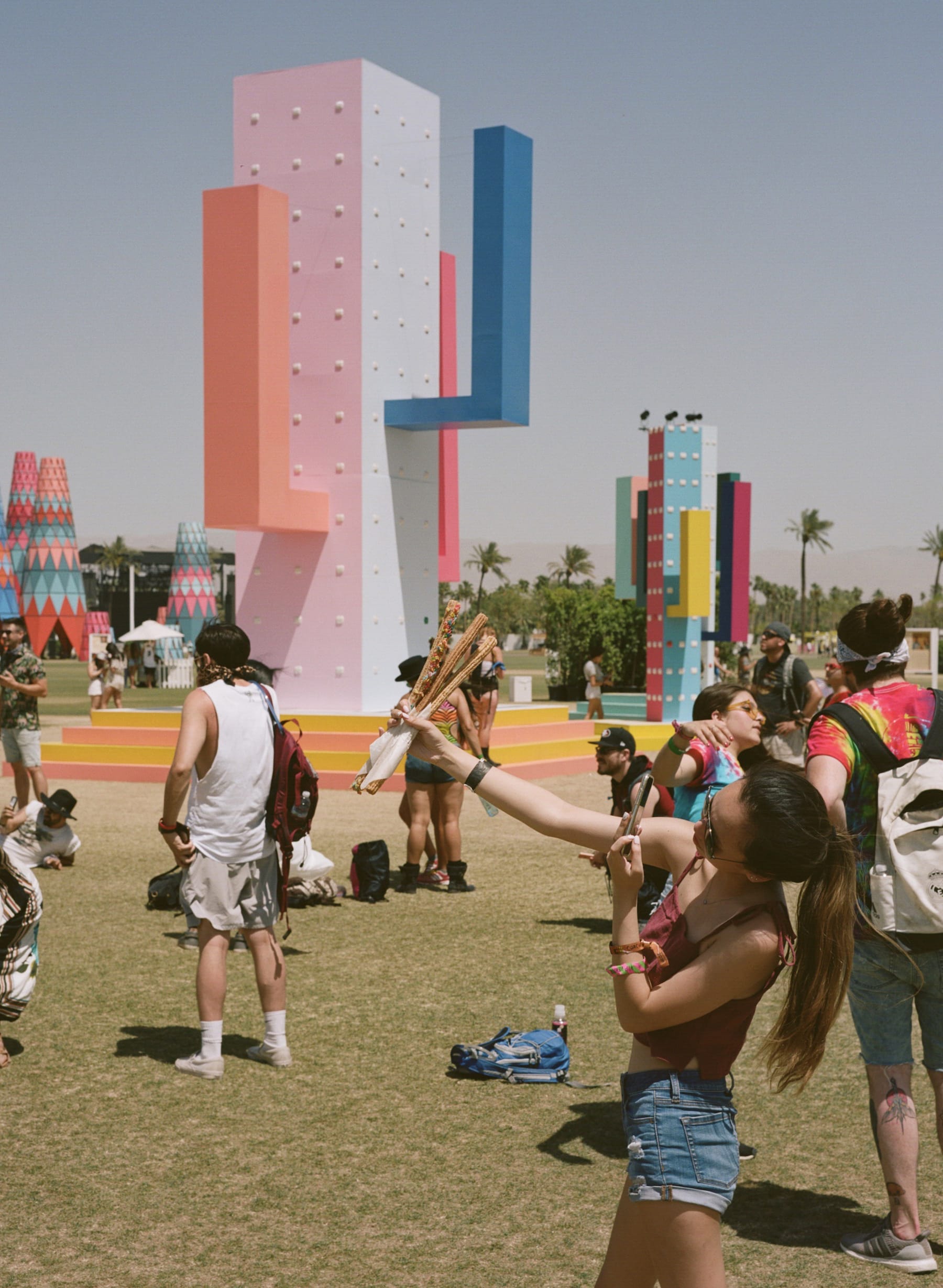 巨大仙人掌,科瓦奇办公室-30