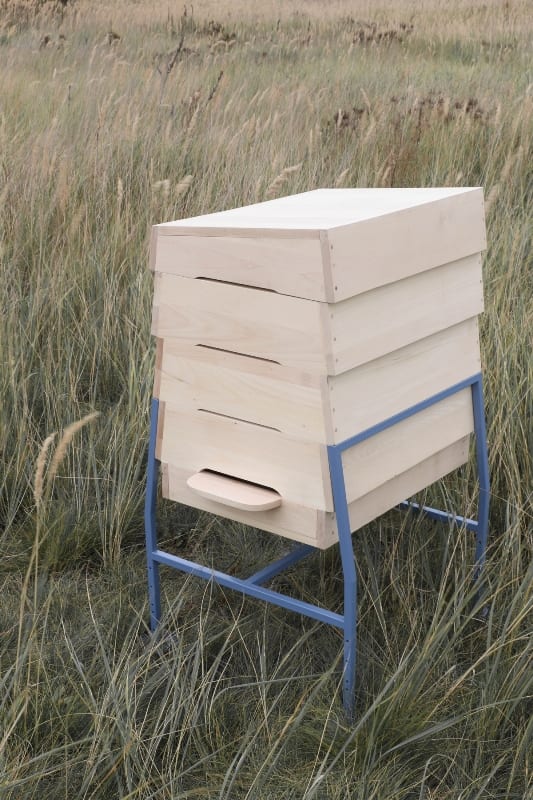 Sanatorium dla pszczół（蜜蜂疗养院）丨Paulina Kwiatkowska（波兹南艺术大学毕业生）-10