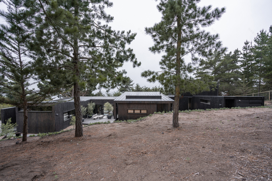 丨智利丨reBA Studio-23