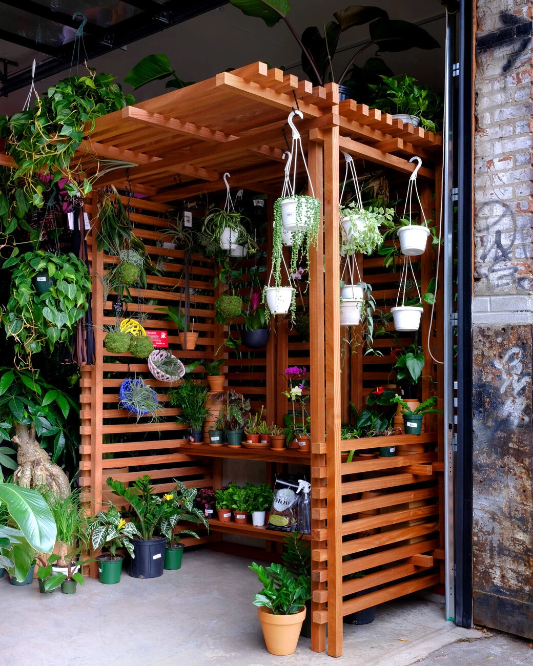 图拉植物与设计丨美国纽约-11