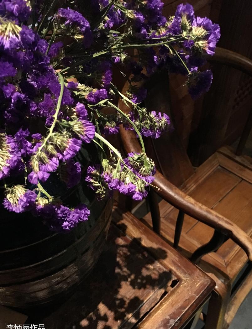 光与影的交错-20