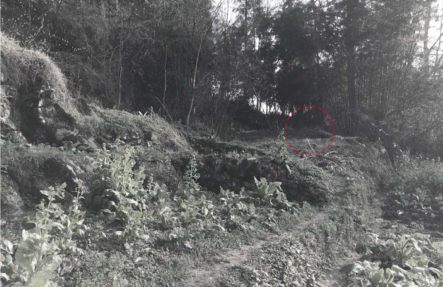 平凡之碑 | 红军战士 Hou Zhongmao 的纪念空间设计-8