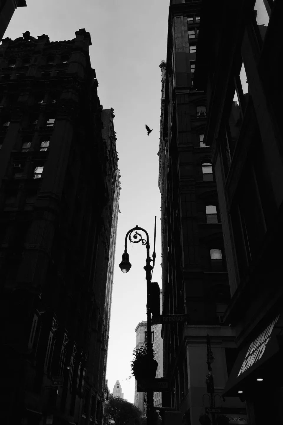 城市切片 · 建筑师王俊锋的手机影像城市观察丨中国北京-40