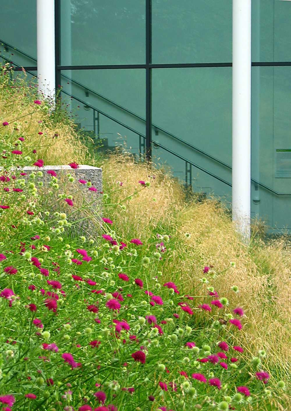 DeCordova 博物馆优雅户外艺术装置设计丨Halvorson Design 事务所-9