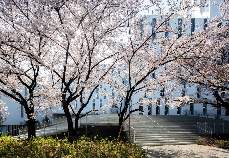 东洋大学赤羽台校区二期大楼丨日本东京丨隈研吾-5