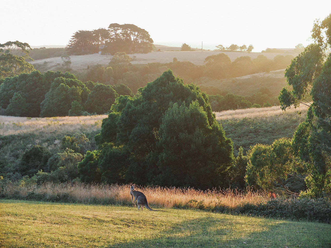 摄影大师的旅行画卷 | Isabella Thaller 的 Voyage-43