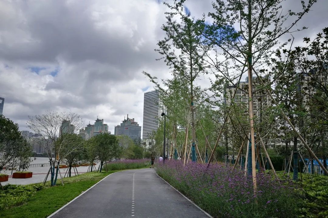 亦境那些人 | 姚素梅的绿化设计之路-30