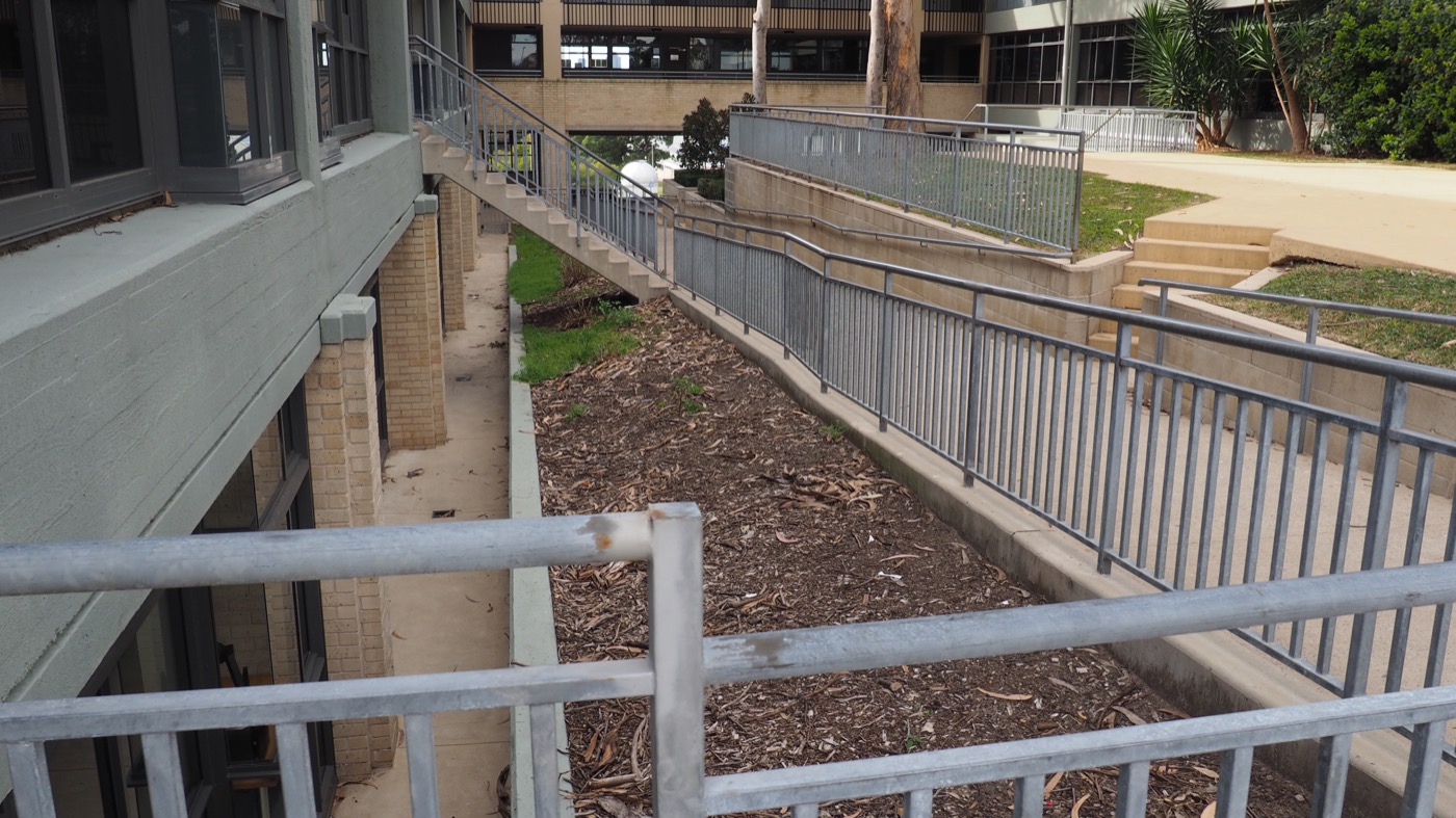 创新校园景观 | 澳大利亚圣伊格内修斯河景学院-28