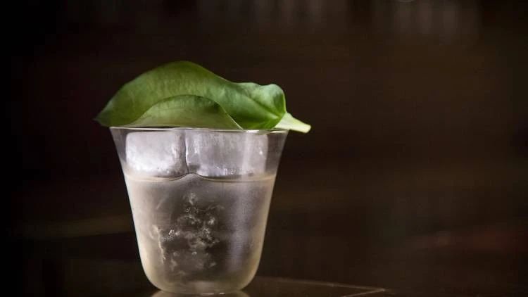 The Old Man 酒吧-34