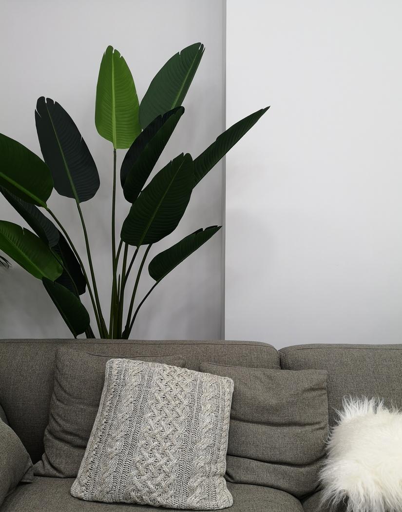 
MIAMI电商工作室 -8