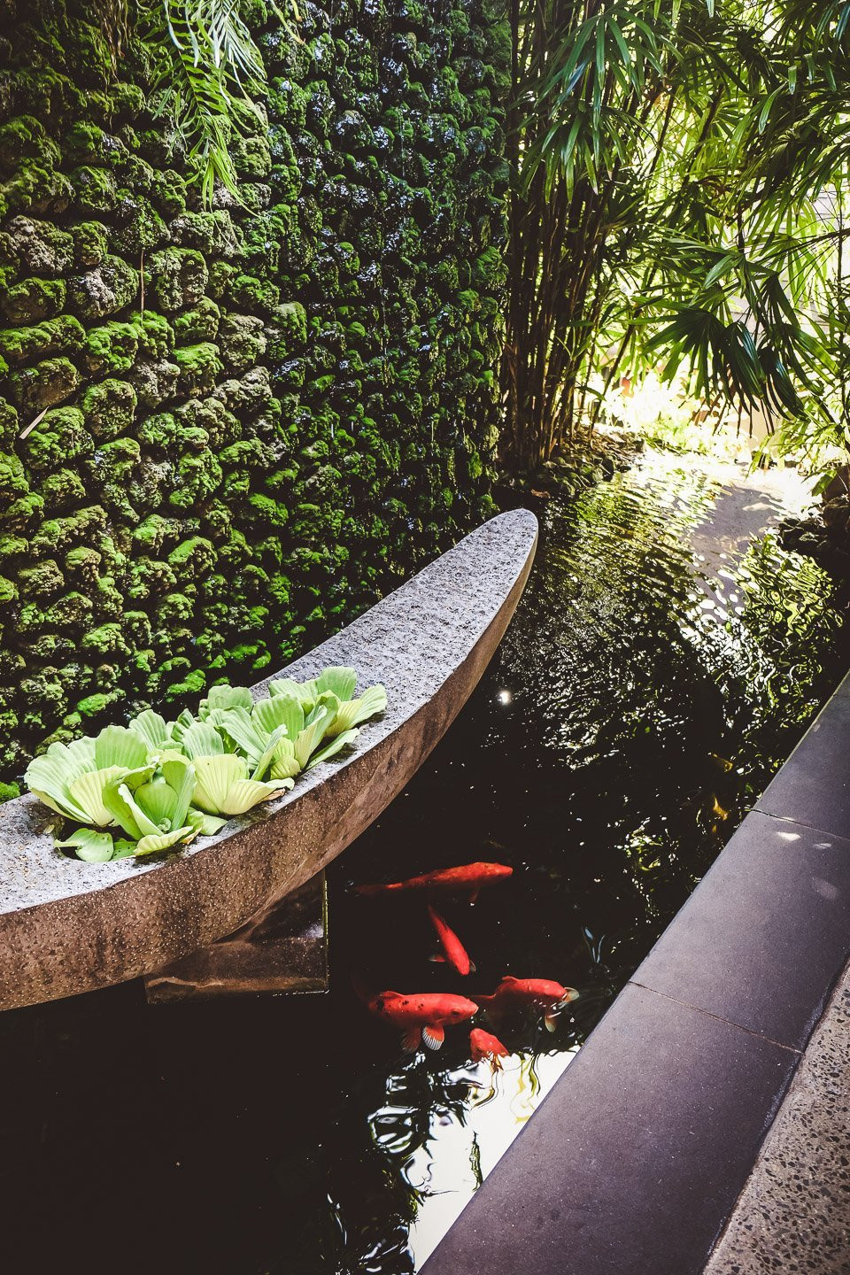 斐济五星级豪华度假酒店,现代斐济风格的海滨别墅-63