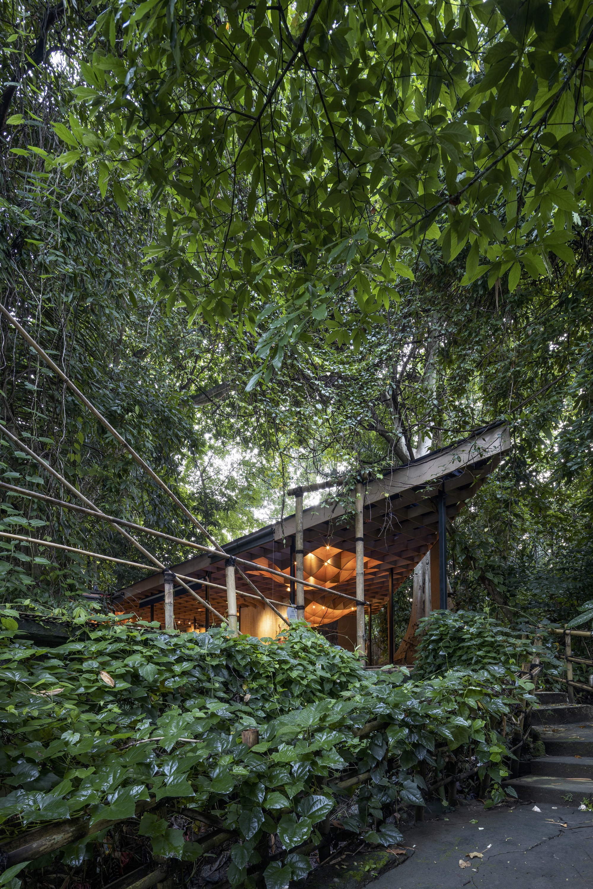 贾亭丨印度丨DDAP Architect-31