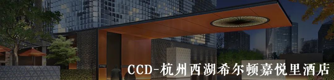 南京五季凯悦臻选酒店丨中国南京丨BUZZ庄子玉工作室-549