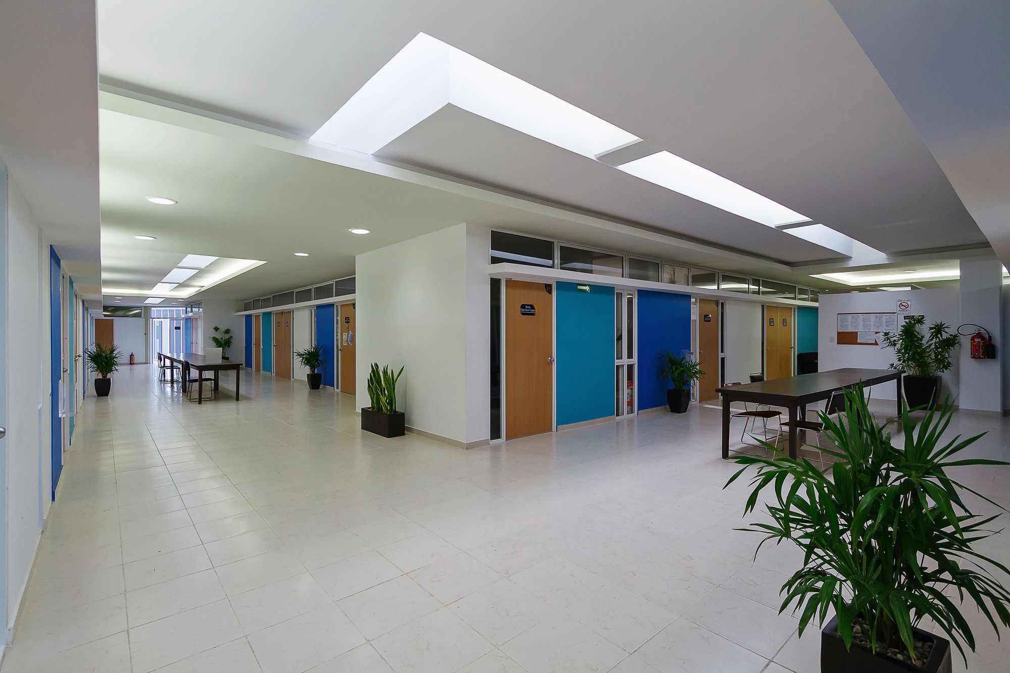 墨西哥尤卡坦自治大学教育学院 | 建筑系的 Departamento de Proyectos 设计团队-42